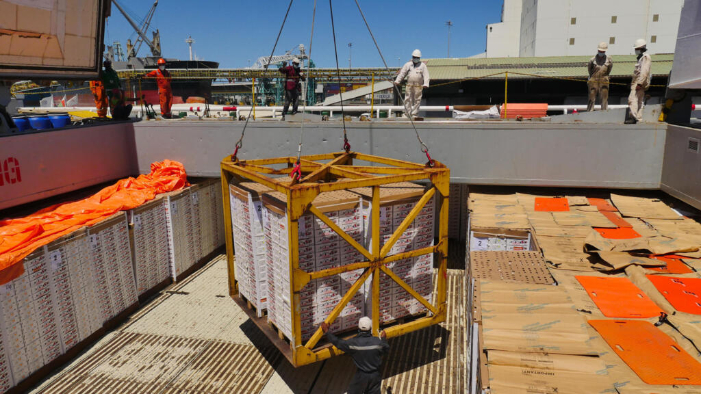 Madagascar: la campagne 2025 d’exportation des litchis face à de multiples défis